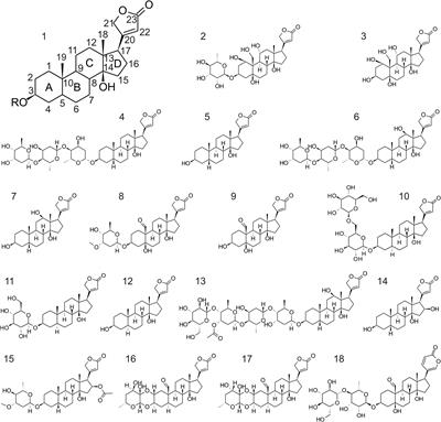 Relative Selectivity of Plant Cardenolides for Na+/K+-ATPases From the Monarch Butterfly and Non-resistant Insects